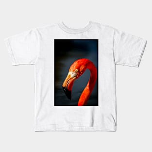 Flamingo Kids T-Shirt